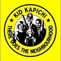 Miniatyrbilde 2 av 2: Kid Kapichi - There Goes The Neighbourhood (LP)