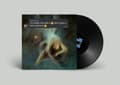 Miniatyrbillede 1 af 2: Arab Strap - I'm Totally Fine With It Don't Give (LP)