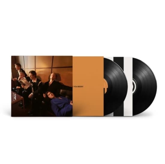 Giant Rooks - How Have You Been? (2Lp) (LP)