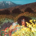 Miniatyrbilde 1 av 2: Brittany Howard - What Now (LP)