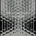 Miniatyrbillede 1 af 2: John Foxx - The Arcades Project (LP)