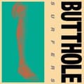 Miniatyrbild 1 av 2: Butthole Surfers - Rembrandt Pussyhorse (LP)