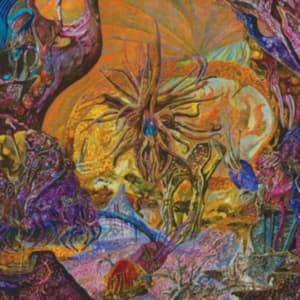 Slimelord - Chytridiomycosis Relinquished (Viny (LP)
