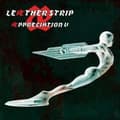 Pikkukuva 1 / 2: Leæther Strip - Æppreciation V (LP)