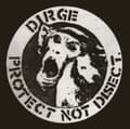 Miniatyrbilde 2 av 2: Dirge - Protect Not Disect (White Vinyl Lp) (LP)