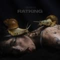 Miniatyrbillede 1 af 2: Brimheim - Ratking (LP)