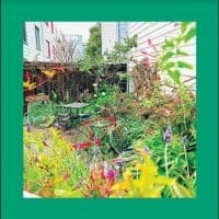 Reds Pinks And Purples The - Unwishing Well (LP)