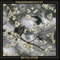 Miniatyrbild 2 av 2: Phosphorescent - Revelator (Vinyl) (LP)