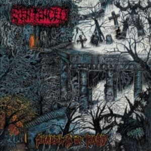 Sentenced - Shadows Of The Past (Vinyl Lp) (LP)