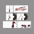 Miniatyrbild 1 av 3: Manic Street Preachers - Lifeblood 20 (LP)