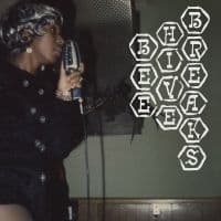 Various Artists - Beehive Breaks (Opaque Olive Green) (LP)