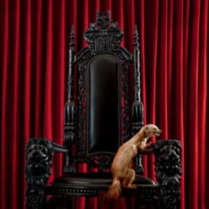 Brume - Marten (Marbled Vinyl Lp) (LP)