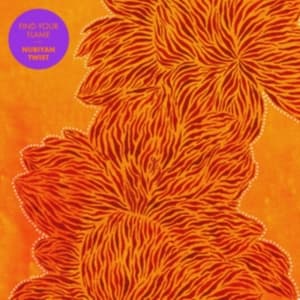 Nubiyan Twist - Find Your Flame (LP)