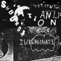 Miniatyrbilde 1 av 2: Institute - Subordination (LP)