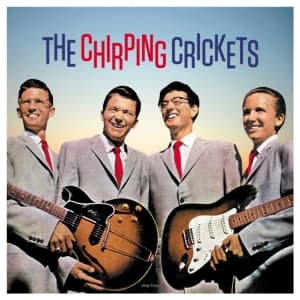 Crickets - The Chirping Crickets (LP)