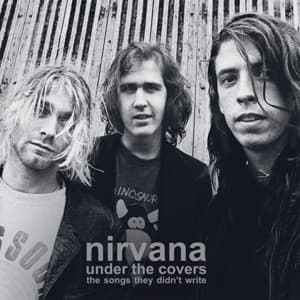 Nirvana - Under The Covers (2 Lp Vinyl) (LP)