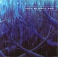 Miniatyrbild 2 av 2: October Tide - Rain Without End (White Vinyl Lp) (LP)