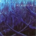 Miniatyrbild 1 av 2: October Tide - Rain Without End (White Vinyl Lp) (LP)