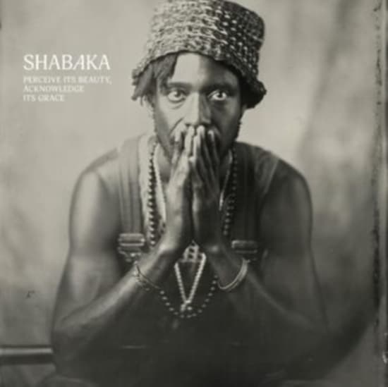 Shabaka - Perceive Its Beauty, Acknowledge It (LP)
