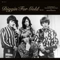 Miniatyrbild 1 av 2: Various Artists - Diggin' For Gold Vol. 14 (LP)