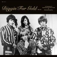 Various Artists - Diggin' For Gold Vol. 14 (LP)
