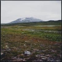 Gidge - Tundra (LP)