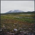 Miniatyrbillede 1 af 2: Gidge - Tundra (LP)