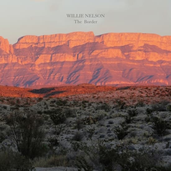 Nelson Willie - The Border (LP)