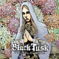 Miniatyrbild 2 av 2: Black Tusk - Way Forward The (Black Vinyl Lp) (LP)