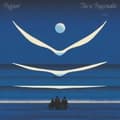 Pikkukuva 1 / 2: Rejoicer - This Is Reasonable (LP)