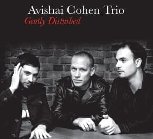 Avishai Cohen Trio - Gently Disturbed (Lp) (LP)