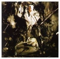 Fields Of The Nephilim - Elizium (Brick Red Vinyl) (LP)