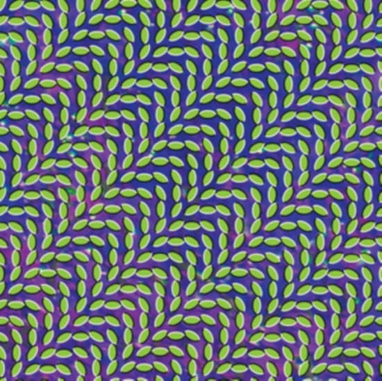 Animal Collective - Merriweather Post Pavillion (LP)