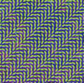 Miniatyrbillede 2 af 2: Animal Collective - Merriweather Post Pavillion (LP)
