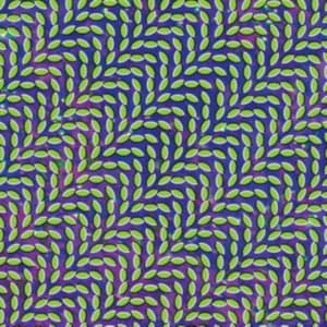 Animal Collective - Merriweather Post Pavillion (LP)
