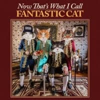 Fantastic Cat - Now That's What I Call Fantastic Ca (LP)