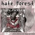 Miniatyrbild 1 av 2: Hate Forest - Justice (Marbled Vinyl Lp) (LP)