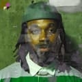 Miniatyrbillede 2 af 2: Hamilton Jordan - Project Freedom (Green & Cream Viny (LP)