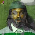 Miniatyrbillede 1 af 2: Hamilton Jordan - Project Freedom (Green & Cream Viny (LP)