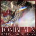 Miniatyrbillede 1 af 2: Sridharan Malini - Tombeaux (LP)