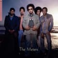 Miniatyrbilde 2 av 2: The Meters - Now Playing (LP)