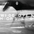 Miniatyrbilde 1 av 2: James Vincent Mcmorrow - Wide Open, Horses (LP)