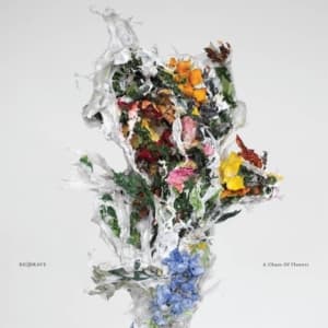 Big|Brave - A Chaos Of Flowers (Indie Exclusive (LP)