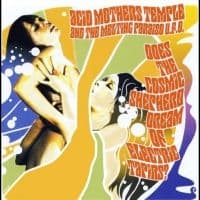 Acid Mothers Temple - Does The Cosmic Shepherd Dream Of E (LP)
