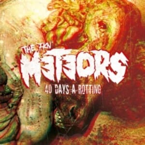Meteors The - 40 Days A Rotting (Black Vinyl Lp) (LP)