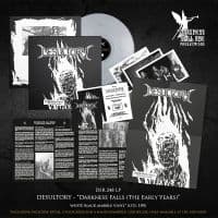 Desultory - Darkness Falls - The Early Years (W (LP)