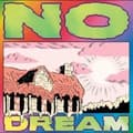 Miniatyrbilde 1 av 2: Jeff Rosenstock - No Dream (LP)