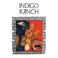 Miniatyrbilde 2 av 2: Indigo Ranch - Hard Gloss (LP)
