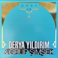 Derya Yildirim & Grup Simsek - Dost 1 & 2 (LP)