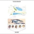 Miniatyrbild 1 av 2: Sun Araw - Cetacean Sensation (LP)